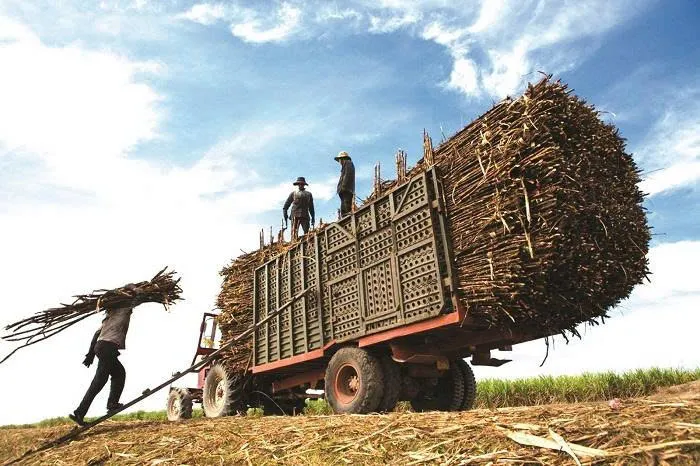 Đường – Cơ hội hình thành chu kỳ tăng mới trong bối cảnh căng thẳng năng lượng toàn cầu